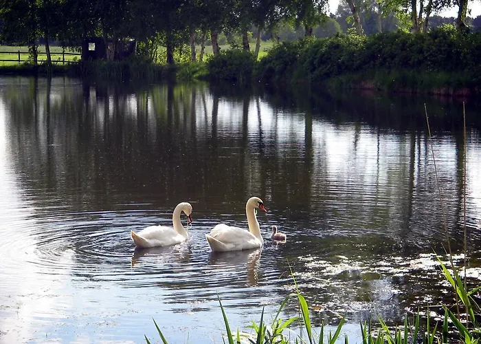 Pension am Birkensee